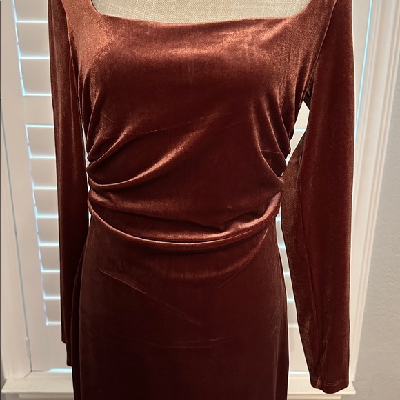 NWT Banana Republic Long Sleeve Cherry Jam Velvet Dress, Size M. - Picture 2 of 10